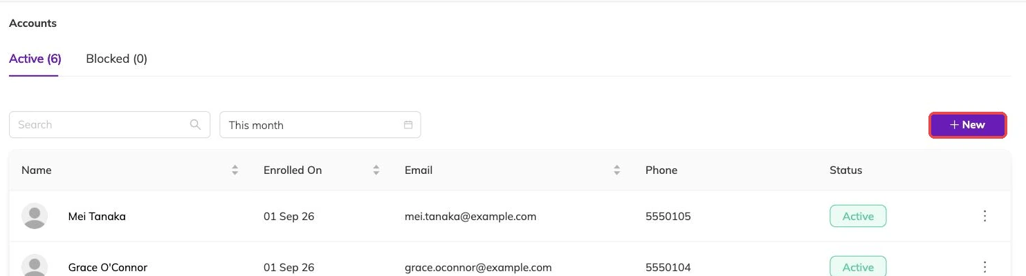 The New button on the accounts list outlined