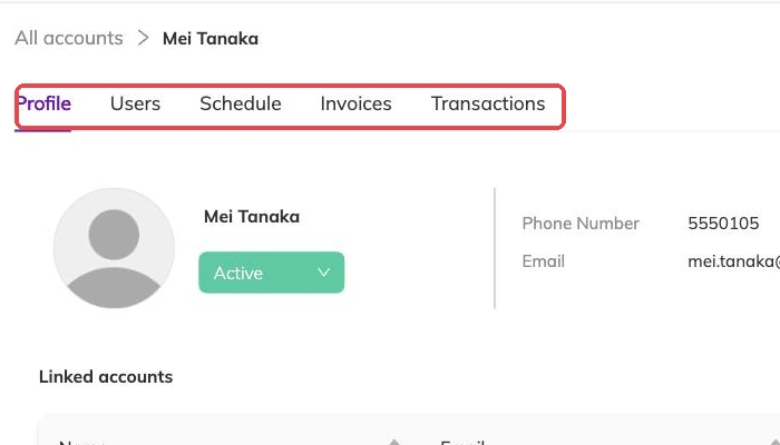 The account detail tabs outlined