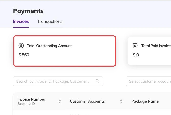 The outstanding balance card on the payments screen outlined
